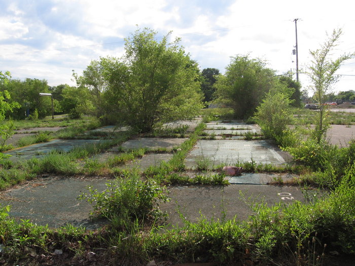 Wallis Drive-In - Wallis North - 5414 N Saginaw